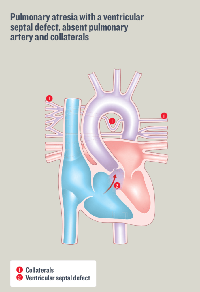 Screen Shot 2018-11-30 at 21.12.20